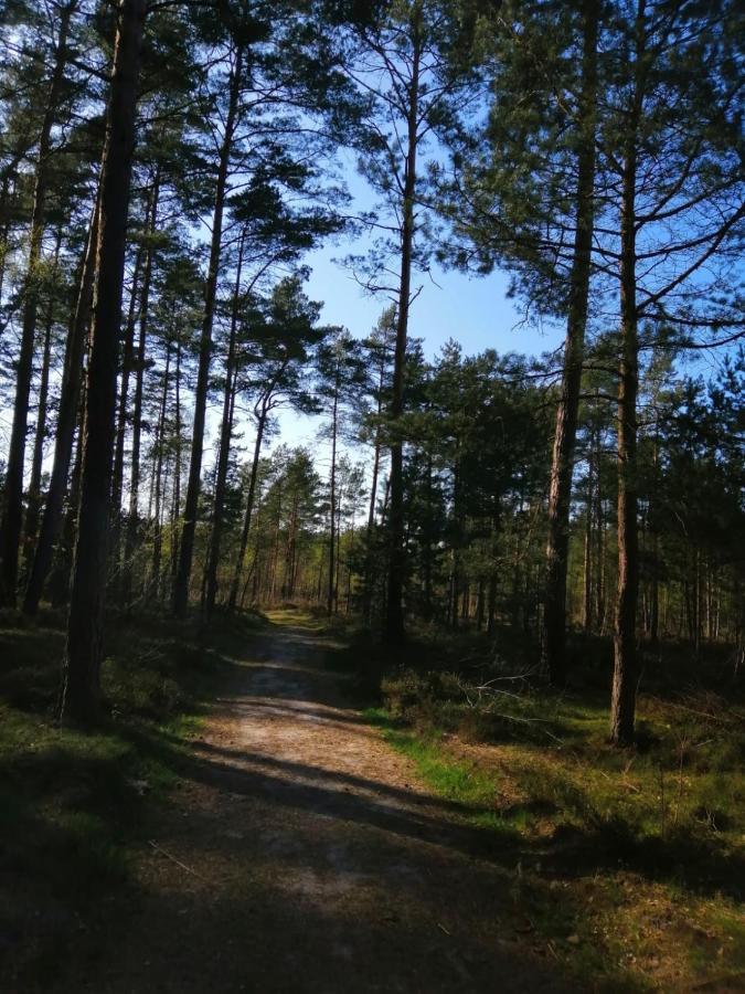 Domek Na Lesnej Pogorzelica  Exterior foto
